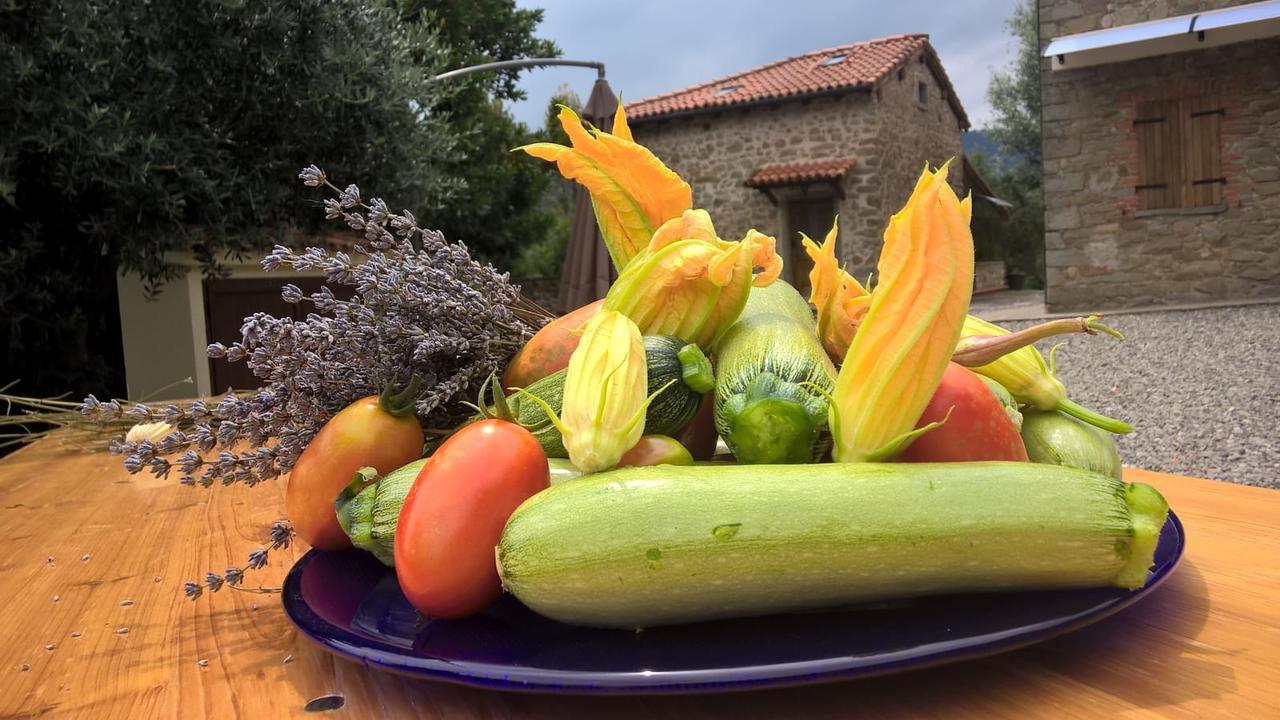 Agripodere Il Falco Понтремоли Екстериор снимка